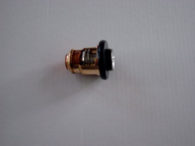 Yamaha fueraborda motor thermostat F4A F4B F5A F6C F9.9C F15A