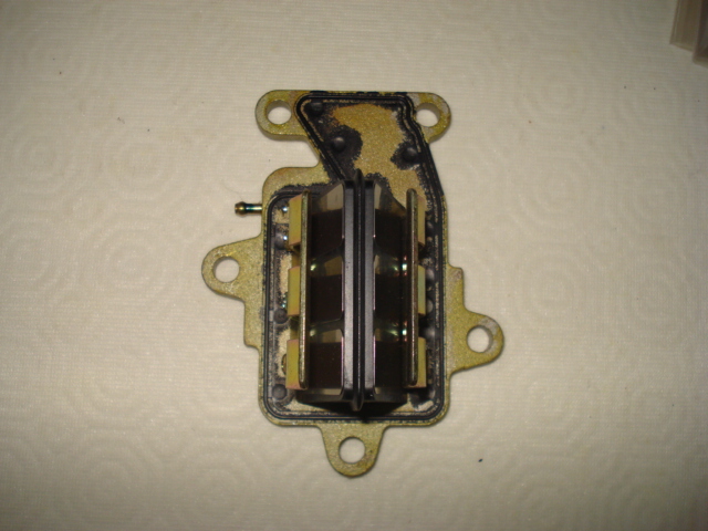 Yamaha reed valve assy 15F